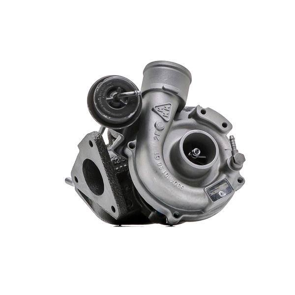 Turbocharger 2234C10163R RIDEX REMAN A601 096 02 99 MERCEDES-BENZ