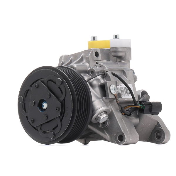 Klimakompressor 447K0039R RIDEX REMAN 73111-SC000 Wellendichtring, Kompressorwelle 447K0039R RIDEX REMAN 73111-SC000 BMW