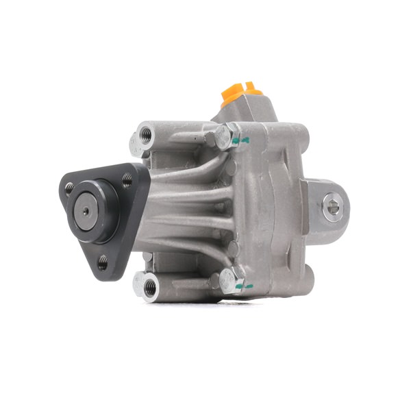 RIDEX 12H0828 Servopumpe Audi 80 B4 Avant 2.8 quattro 174 PS Benzin Kosten