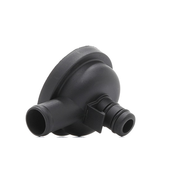 RIDEX 3886V0107 Reniflard d'huile Сitroën ZX N2 1.9 D 64 CV Diesel 1997