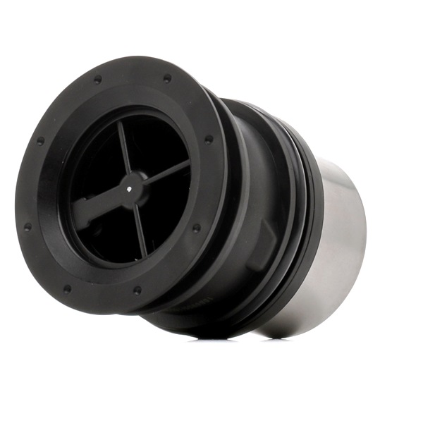 RIDEX 316T0507 Termostato refrigerante para Porsche PANAMERA 4.8 S 400 cv 2013 M 48.20 Motor Otto RIDEX 316T0507 Termostato Porsche Panamera 970 4.8 S 400 cv Gasolina precio