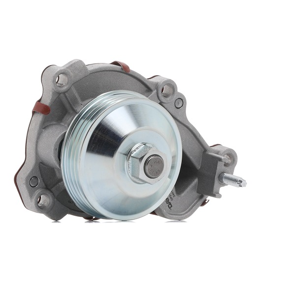 Pompe à eau DAYCO DP2174 DAYCO DP2174 acheter Pompe à eau DS en ligne