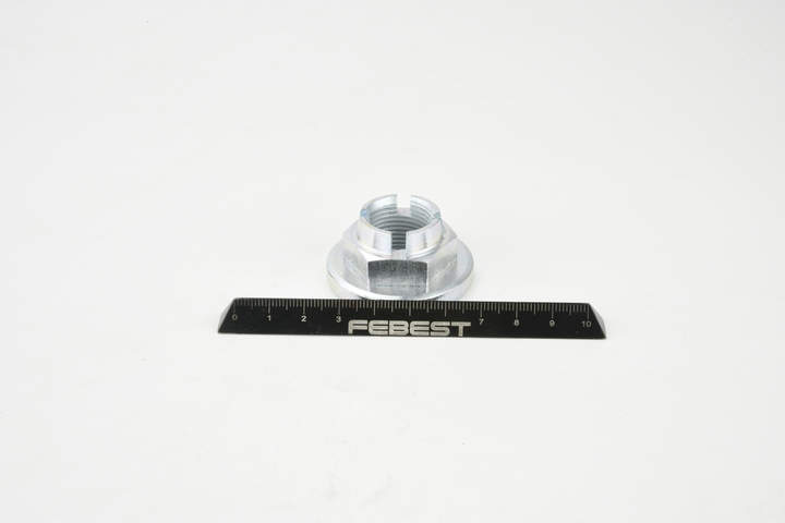 Rattalaagrikomplekt 0598-NHUB02 FEBEST 96FB-3B477-AB FORD USA