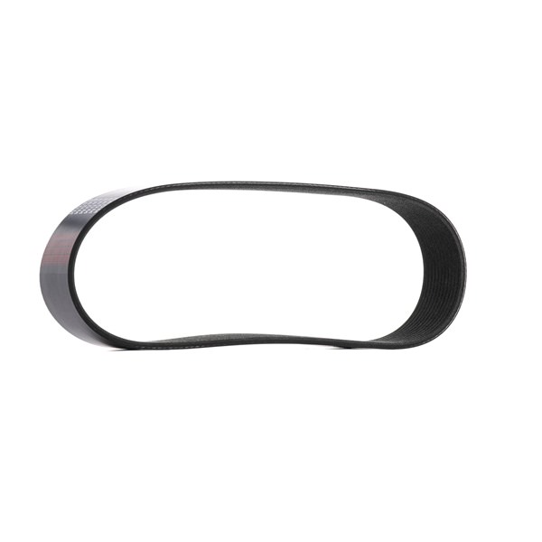 RIDEX 305P0622 Multiriem