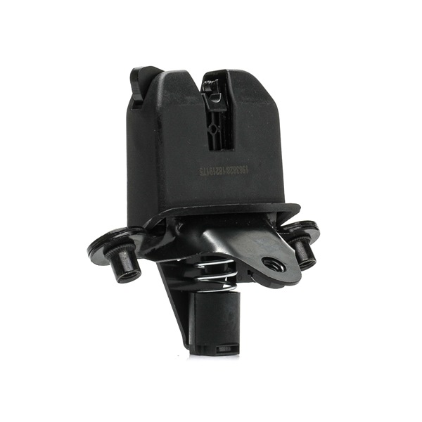 RIDEX 1362T0056 Takaluukun lukko Skoda Octavia 1Z5 1.9 TDI 4x4 105 hv Diesel hinta