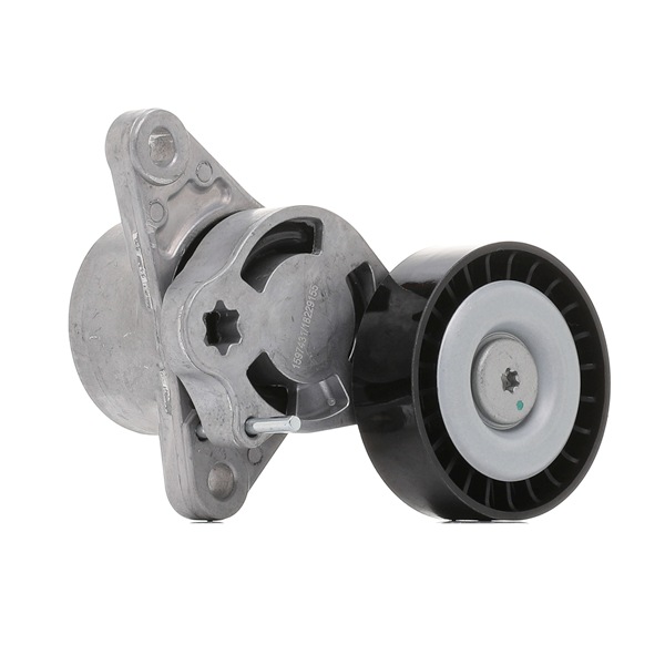 RIDEX 310T0648 Spanner poly v riem MERCEDES-BENZ B-Klasse (W247) B 220 d (247.014) 190 Pk Diesel prijs