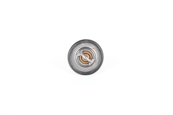 Ford Transit Mk4 Buss Termostat Continental 28.0200-4021.2