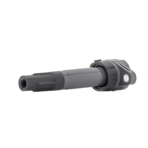 RIDEX 689C0461 Bobine