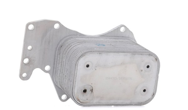 RIDEX 469O0165 Ψυγείο λαδιού Audi A6 4f2 3.0 TDI quattro 233 PS Πετρέλαιο τιμες