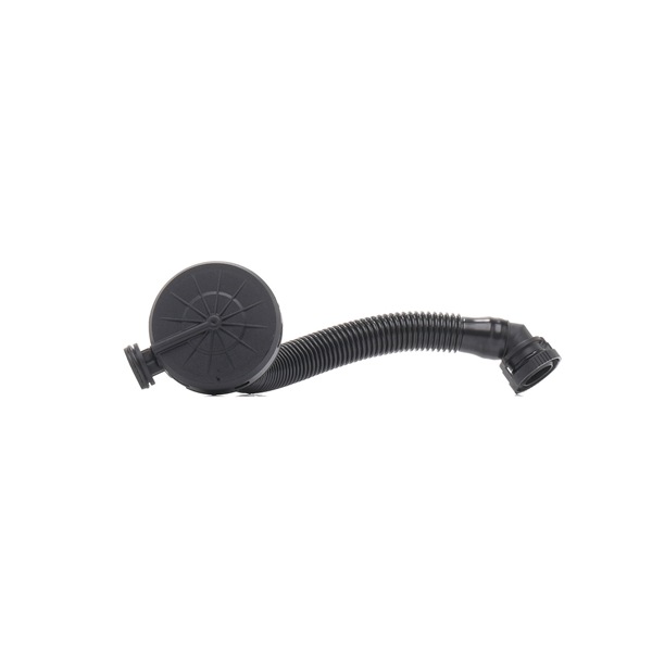 RIDEX 3886V0131 Légtelenítés — Skoda Fabia I Praktik 6Y5 1.2 64 LE 2007 BME Otto RIDEX 3886V0131 Légtelenítés Skoda Fabia Praktik 1.2 64 LE Benzin árak