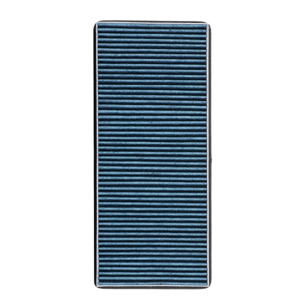 RIDEX PLUS 424I0599P Pollen filter