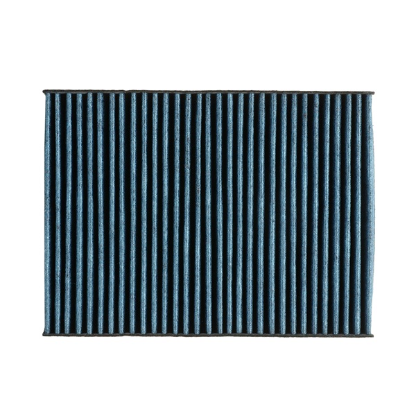 RIDEX PLUS 424I0522P Pollen filter