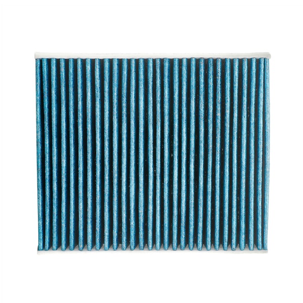 RIDEX PLUS 424I0630P Pollen filter
