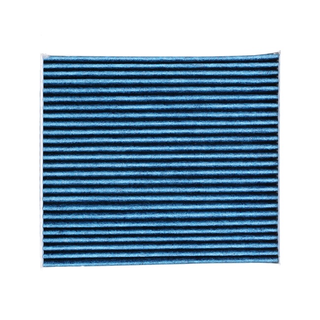 RIDEX PLUS 424I0524P Pollen filter