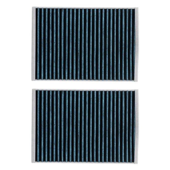 Filtro abitacolo 424I0591P RIDEX PLUS 221 830 0718 OPEL