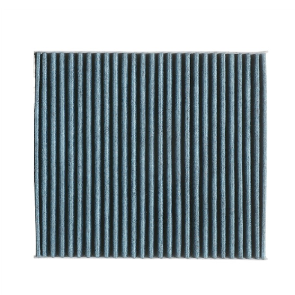 RIDEX PLUS 424I0613P Innenraumfilter