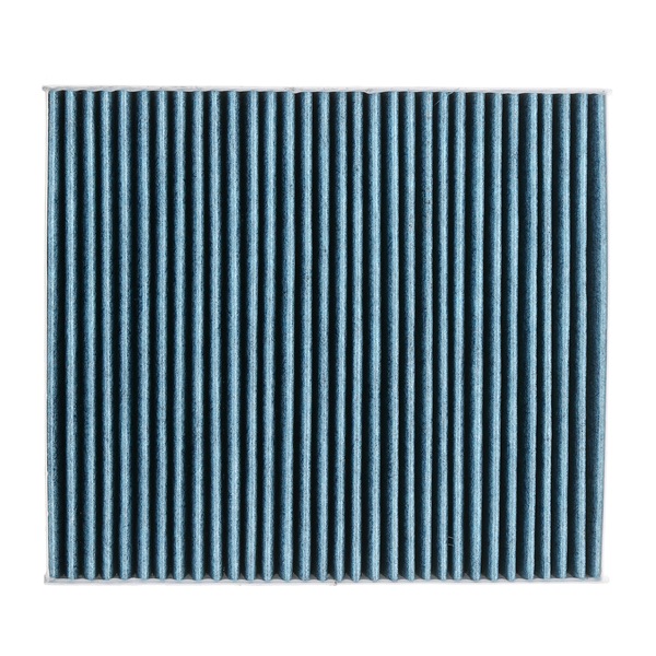 424I0641P Innenraumfilter RIDEX PLUS 2Q0819669 MAZDA