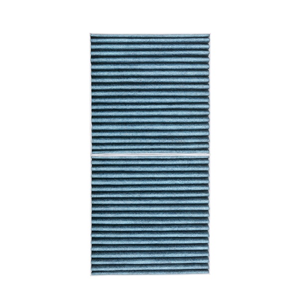 RIDEX PLUS 424I0585P Pollen filter