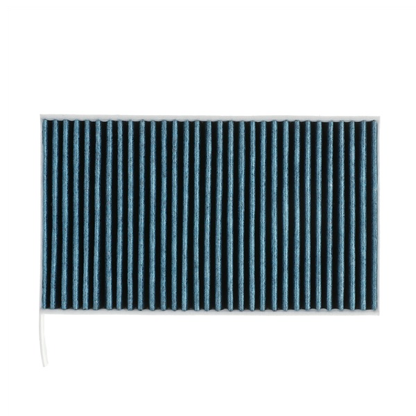 Filter, salongiõhk 424I0645P RIDEX PLUS 1107681-00-A TESLA