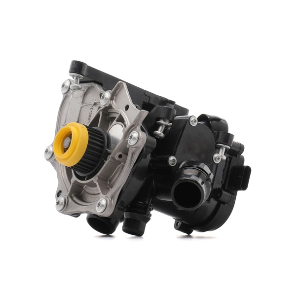 DAYCO DP1950 Water pump