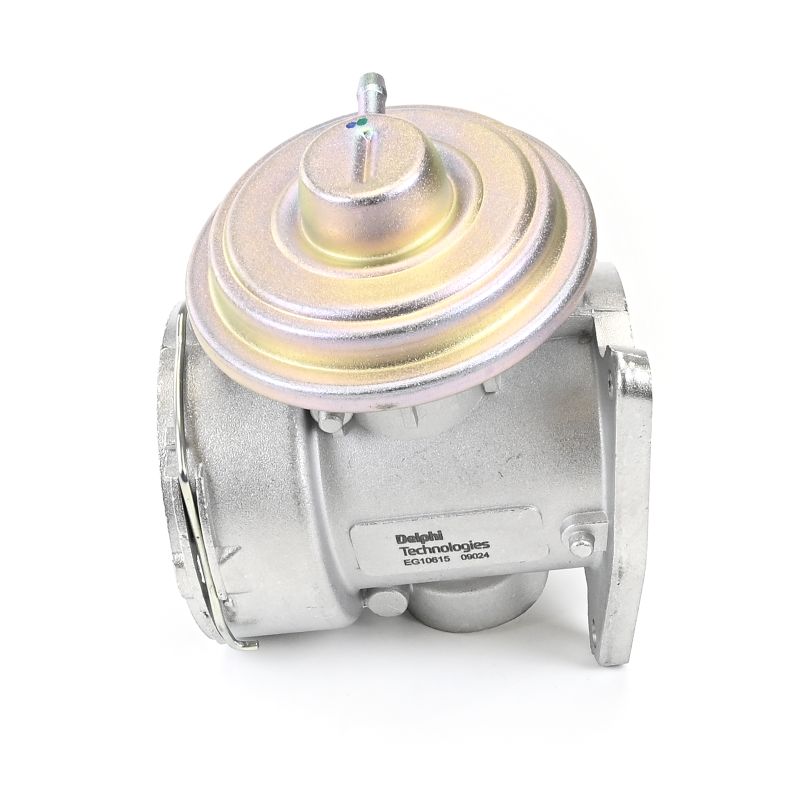 DELPHI EG10615-12B1 EGR valve