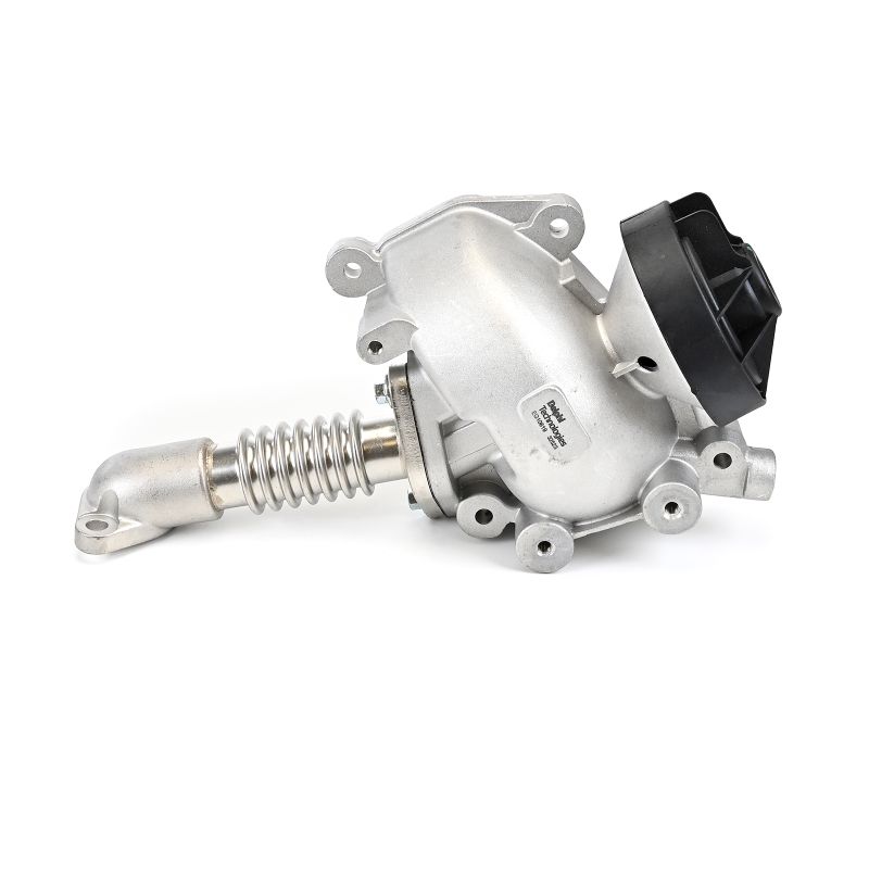 DELPHI EG10619-12B1 Válvula EGR