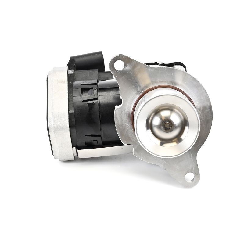 DELPHI EG10621-12B1 Válvula EGR