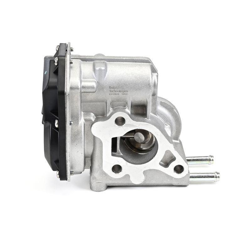 DELPHI EG10624-12B1 Válvula EGR