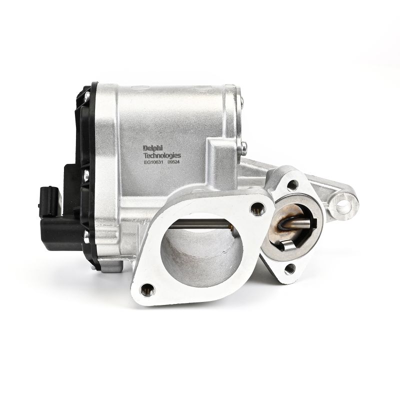 DELPHI EG10631-12B1 Válvula EGR