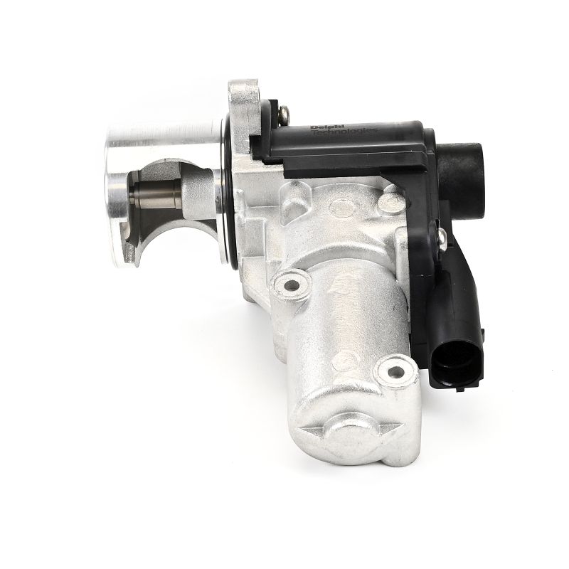 DELPHI EG10645-12B1 EGR valve