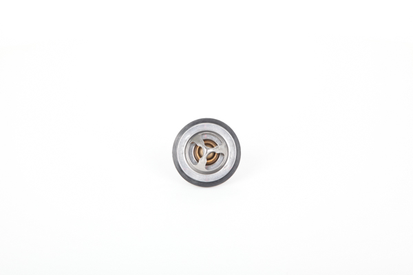 Continental 28.0200-4075.2 Thermostat d'eau