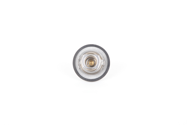 Continental 28.0200-4101.2 Thermostat d'eau