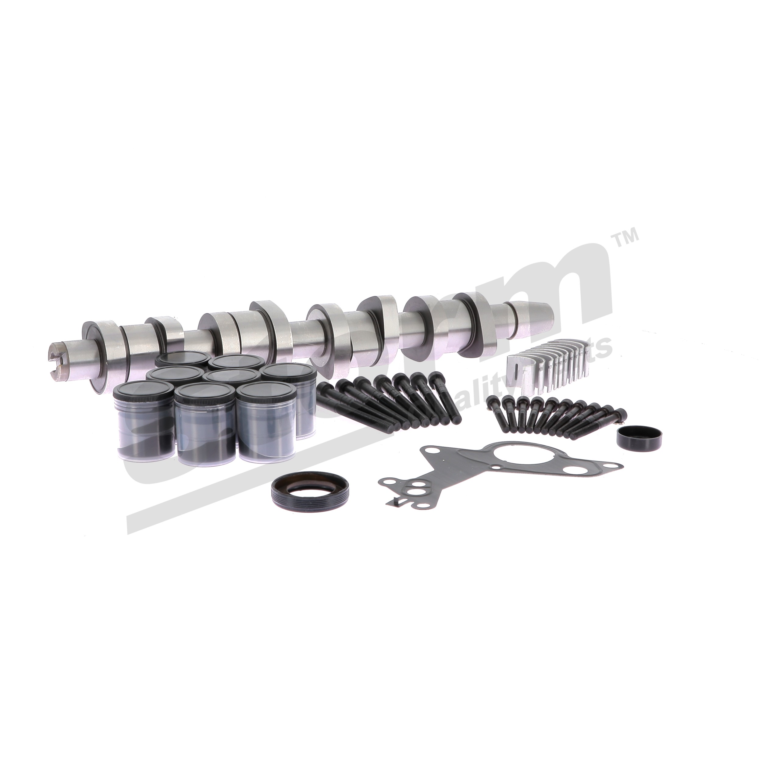 Albero a camme 299971 STORM QUALITY PARTS 666861K Kit albero a camme 299971 STORM QUALITY PARTS 666861K SEAT