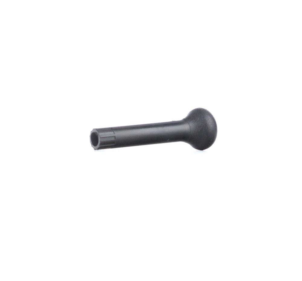FEBI BILSTEIN 10029 Locking Knob-image-1871744