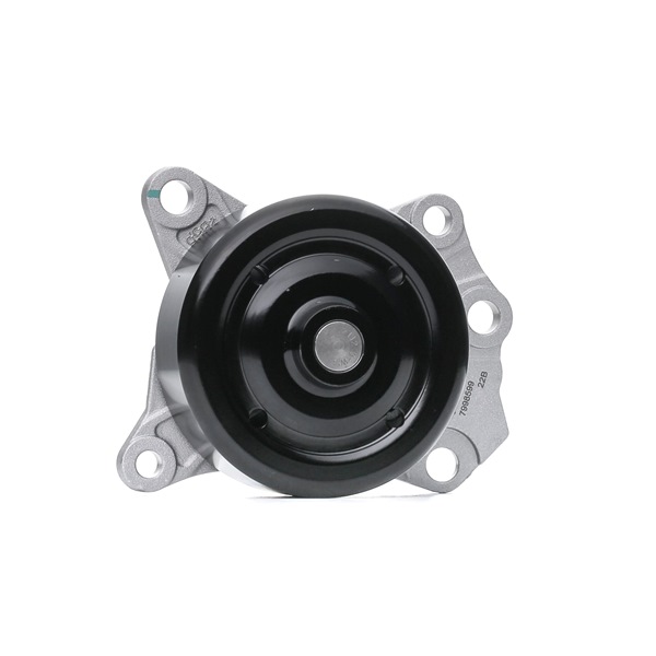 STARK SKWP-0520675 Pompe à eau
