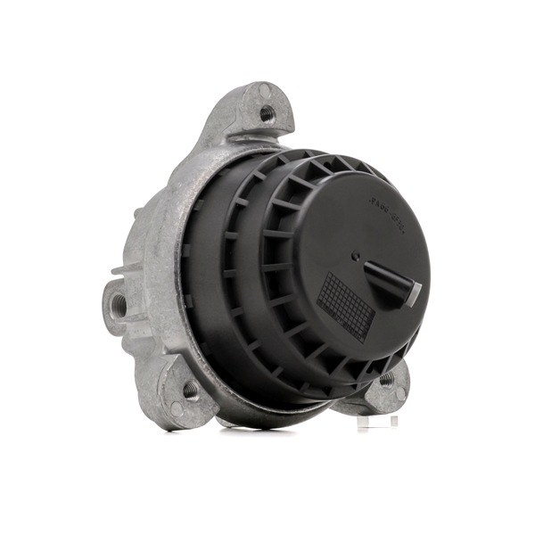 Motorophæng 247E1051 RIDEX 33 31 6 768 645 Motorophæng 247E1051 RIDEX 33 31 6 768 645 BMW