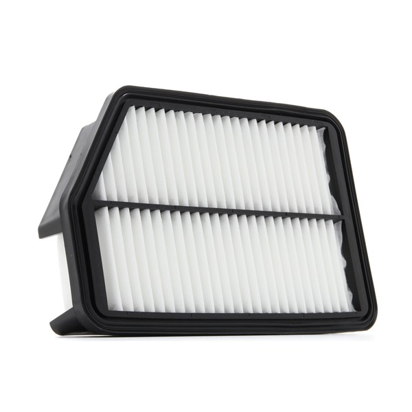 RIDEX PLUS 8A0184P Gaisa filtrs