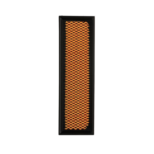 RIDEX PLUS 8A0247P Luftfilter