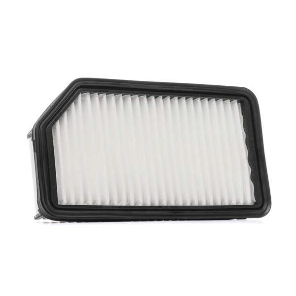 RIDEX PLUS 8A0191P Gaisa filtrs