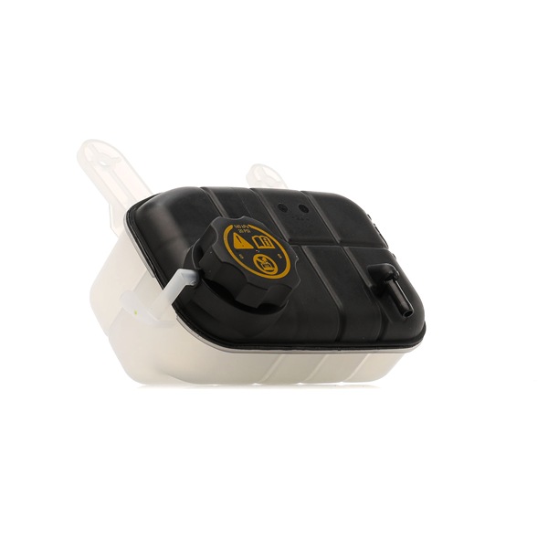 Δοχείο διαστολής, ψυκτικό υγρό 397E0299 RIDEX 95201979 CHEVROLET