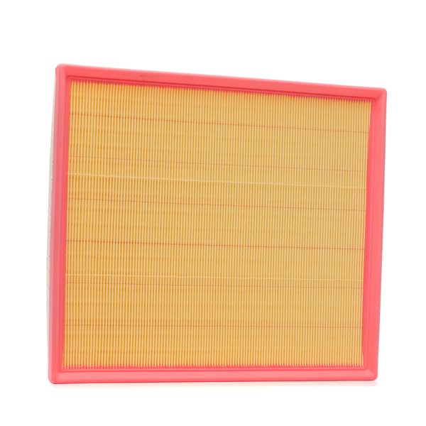 Gaisa filtrs 8A0704P RIDEX PLUS GK21-9601-AB FORD
