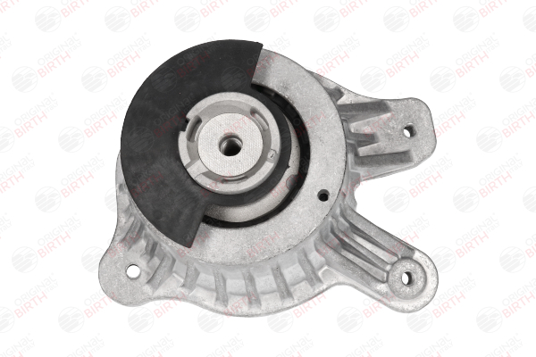 53543 BIRTH Motora spilvens Mercedes-Benz lēti