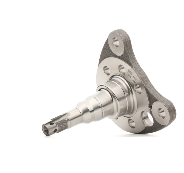FEBI BILSTEIN Achszapfen, Achskörper 18352 18352 FEBI BILSTEIN Achsschenkel VOLVO Kosten