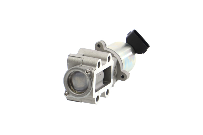 AGR ventil REMANTE MINI 010-001-000073R