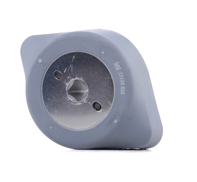 FEBI BILSTEIN 23138 Ātrumkārbas spilveni tavai automašīnai