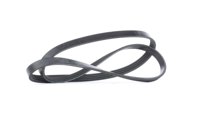 Courroie Poly-V 28811 FEBI BILSTEIN 059 260 849 B BMW