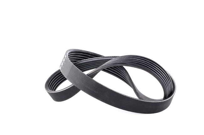FEBI BILSTEIN Correia trapezoidal em v VW 28905