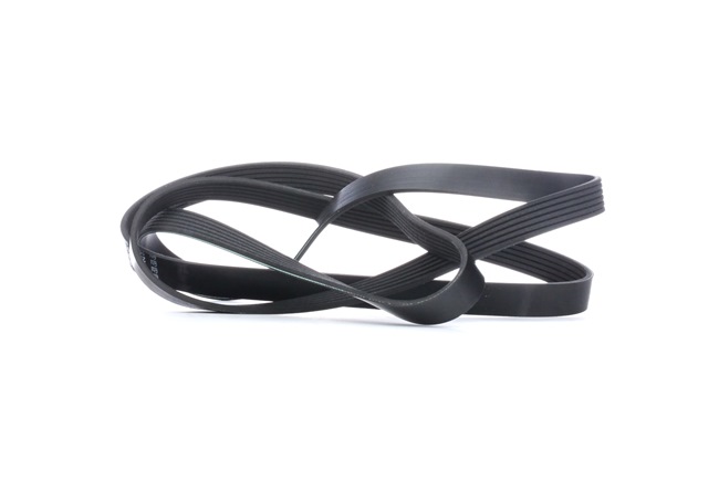 29009 FEBI BILSTEIN Correia poly v Volkswagen baratos