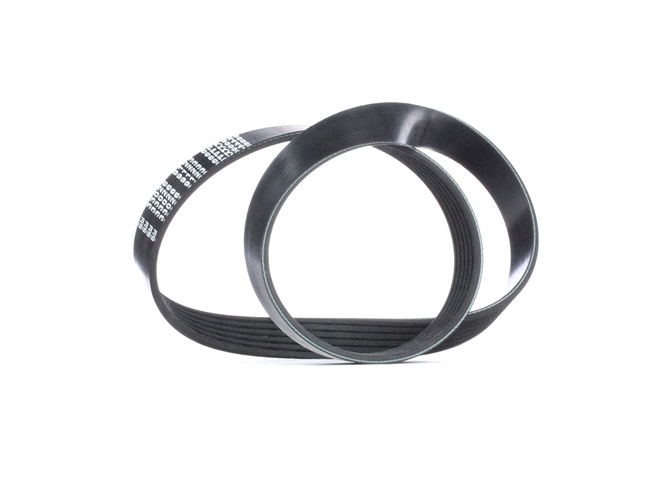 FEBI BILSTEIN Courroie striée Poly-V 33026 expérience