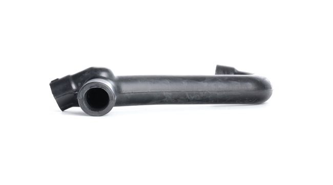 FEBI BILSTEIN 33855 Slang, vevhusventilation